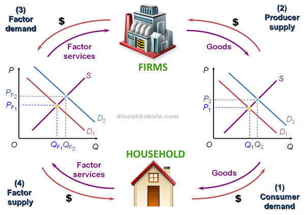 Economic Fluctuations Model