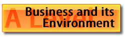 business-and-its-environment-a-level-btn