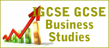 igcse business studies
