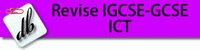 igcse gcse ict revision